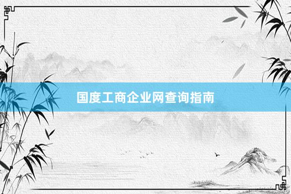 国度工商企业网查询指南